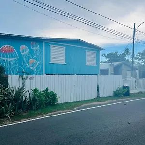 Huellas Arecibo